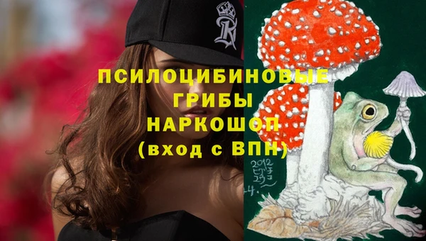 СК Верхний Тагил